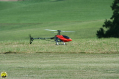 Flugtag_2009_2_118