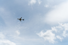 Freundschaftsfliegen_2025_109