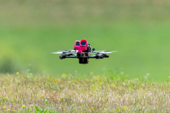 Freundschaftsfliegen_2025_145