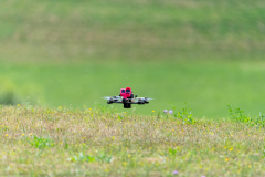 Freundschaftsfliegen_2025_146