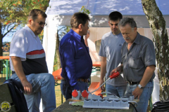 FT_2009_Sa_07