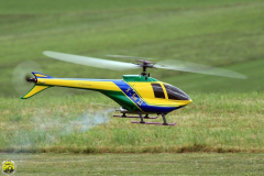FT_2009_Sa_25