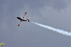 FT_2009_Sa_29