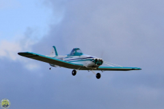 FT_2009_Sa_47