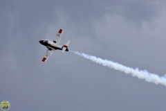 FT_2009_Sa_29