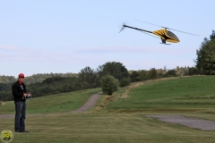 FT_2009_Sa_31