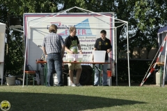 Flugtag_2009_2_03