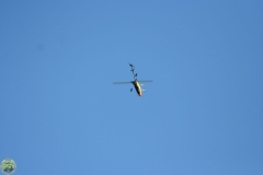 Flugtag_2009_2_126