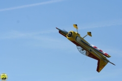 Flugtag_2009_2_78