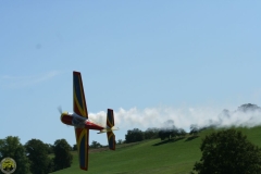 Flugtag_2009_2_85