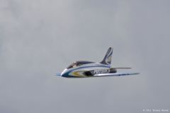 FT_2011_So_71