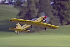 FT_2011_So_59