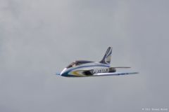FT_2011_So_71