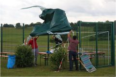 FT_SA_2012_003