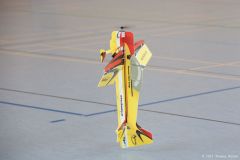 hallenflugtag_sa_2013_29