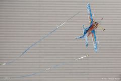 hallenflugtag_so_2013_83