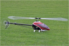 FMC-CR_Helitreff-2010_08