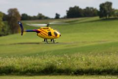 Helitreffen 2014