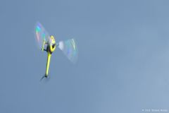 FMC_2014-09-27_080
