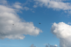 Helitreffen_2023_061