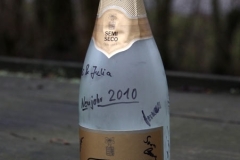 Neujahrsfliegen 2010