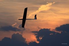 Sommerfest-2010_38