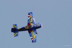 Sommerfest-2010_12