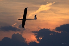 Sommerfest-2010_38